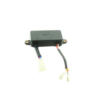 Spannungsregler / AVR-Regulierung für ZI-STE 3000L, ZI-STE2800