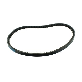 Keilriemen passend für Lumag-Maschinen z.B.: GF800
