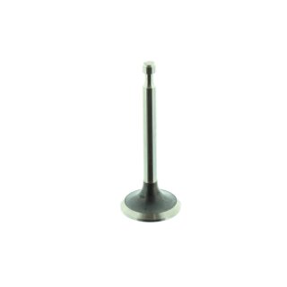 Auslassventil passend für HBM Maschinen mit G200F Motor z.B.: Vibrationsplatte 6,5PS, Rüttelplatten mit 6,5PS/196 cm³, HBM Professional320KG Mini-Dumper auf Raupen mit 6,5PS/196 cm³