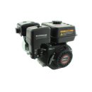 Motor G200F komplett Kurbelwellenaufnahme 19 mm passend...