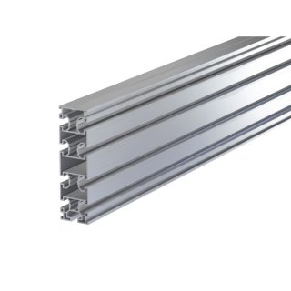 GS Aluvario 45x160mm für Fundamentabstände bis 4,3m, 4 Meter Länge