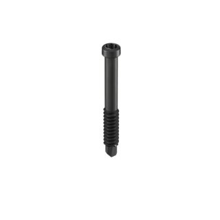 GS Bohrschraube 4,8x38mm schwarz - 100 Stück